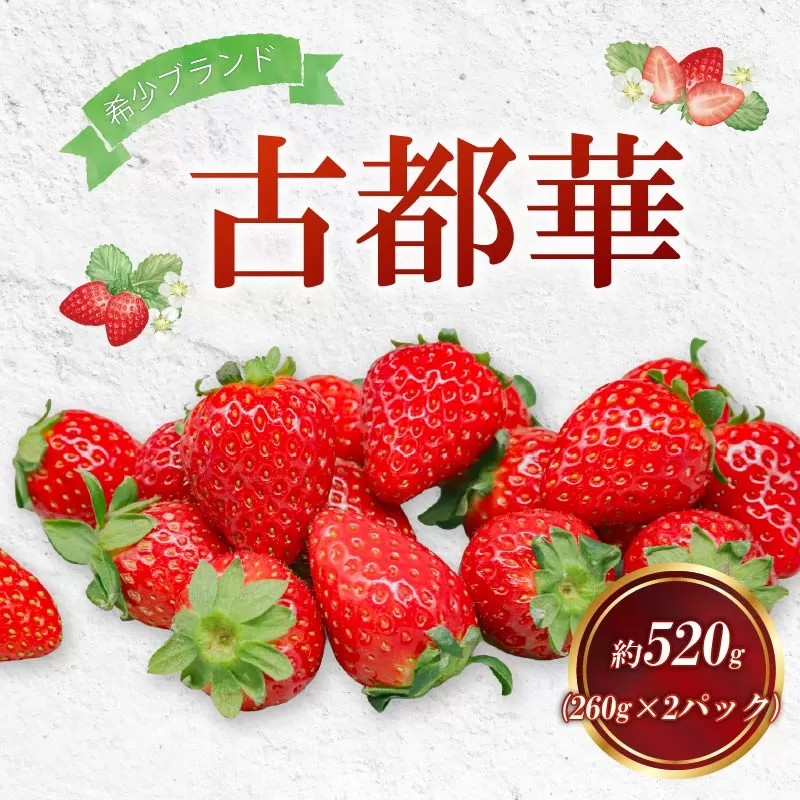 【 数量限定】 奈良のブランドいちご 古都華 約520g 260g×2パック 1パック6~11粒 イチゴ 月 旬 産地 農場 直送 フレッシュ スイーツ スムージー ケーキ フルーツ 果物 国産 ベリー 贈答用 プレゼント 人気 ふるさと納税 ふるさと おすすめ 限定 奈良県 奈良市 なら ファーム和だや