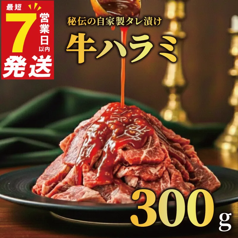 牛ハラミ タレ漬け 300g 特選 タレ漬け牛ハラミ 個包装 冷凍 秘伝のタレ 味付き牛 小分け ハラミ はらみ 牛肉 お肉 肉 にく 漬け 特製 たれ 牛ハラミ 味付き 焼くだけ 焼き肉 やきにく 焼肉セット 焼肉用 野菜炒め 焼肉 たれ 人気 うし ぎゅうにく おにく はらみ 腹身 ふるさと納税肉 ふるさと納税牛ハラミ 選べる容量 バーベキュー BBQ 奈良県 奈良市 なら 焼肉工房もく