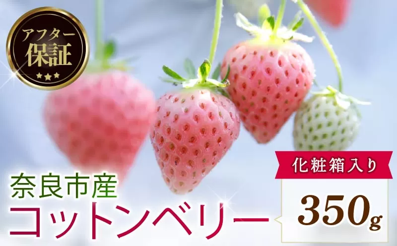 【数量限定】 2026年発送 苺 いちご コットンベリー 約350g 化粧箱 冷蔵 小分け 果物 スイーツ デザート くだもの フルーツ ベリー ふるさと納税 いちご 大粒 採れたて 完熟 おやつ 産地直送 先行予約 数量限定 季節限定 ブランド イチゴ ギフト お祝い 中村農園 奈良県 奈良市