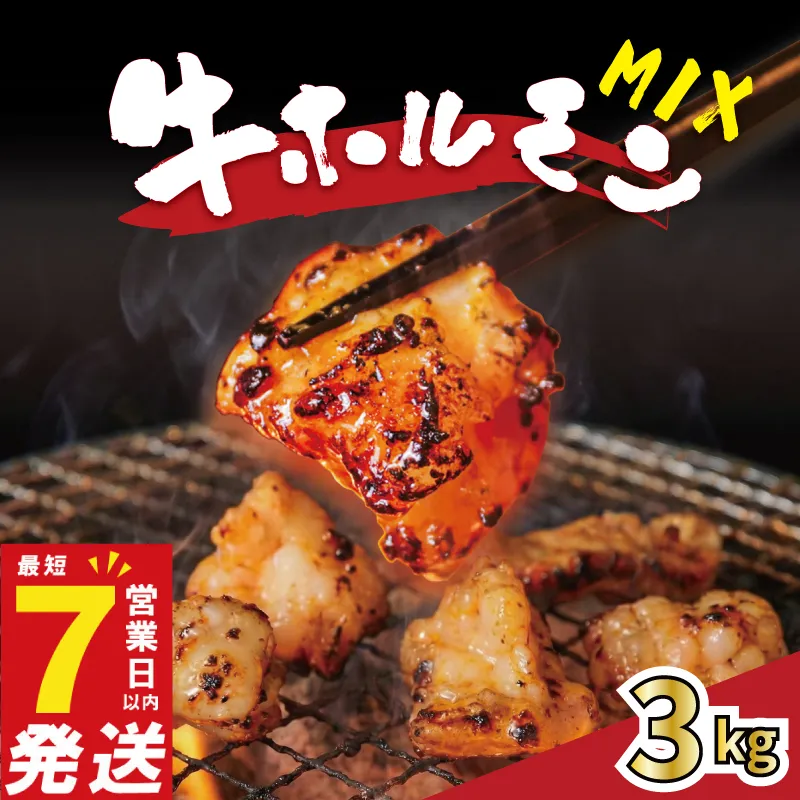 牛ホルモンMIX 3kg 牛肉 味付け おいしい 小分け 個包装 冷凍 焼肉工房もく