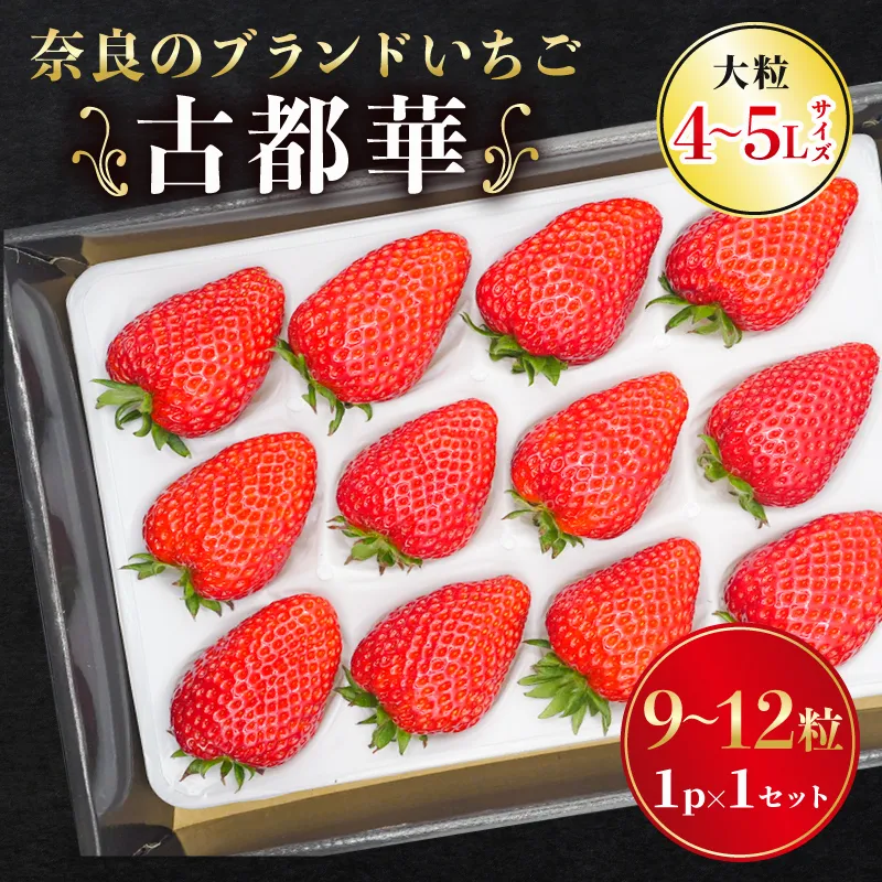 いちご 古都華 大粒 ことか 9~12粒 1セット 4~5Lサイズ 古都華 選べる容量 化粧箱 数量限定 先行予約 2027年発送 苺 イチゴ ストロベリー 季節限定 旬 完熟 大粒 フルーツ 果物 スイーツ スムージー ケーキ 人気 おすすめ ふるさと納税 産地直送 新鮮 贈答 お歳暮 ギフト プレゼント 古都華カンパニー 奈良県 奈良市