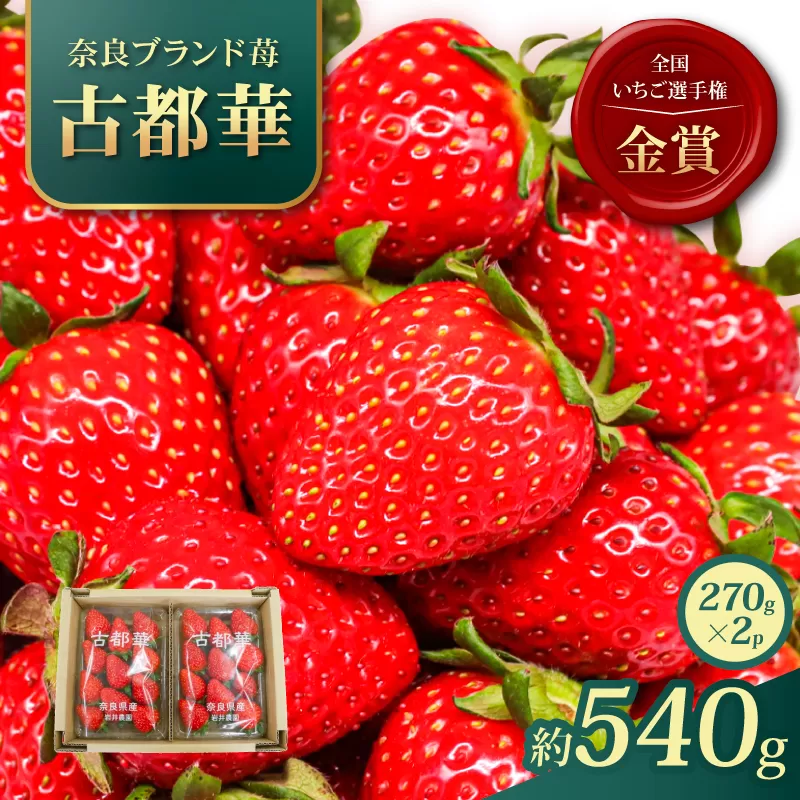いちご 古都華 約540g 270g×2パック 2027年1月発送 冷蔵 小分け 果物 スイーツ デザート フルーツ ベリー ふるさと納税いちご 大粒 採れたて 完熟 おやつ 産地直送 先行予約 数量限定 季節限定 ブランド 苺 イチゴ いちご 岩井農園 奈良県 奈良市
