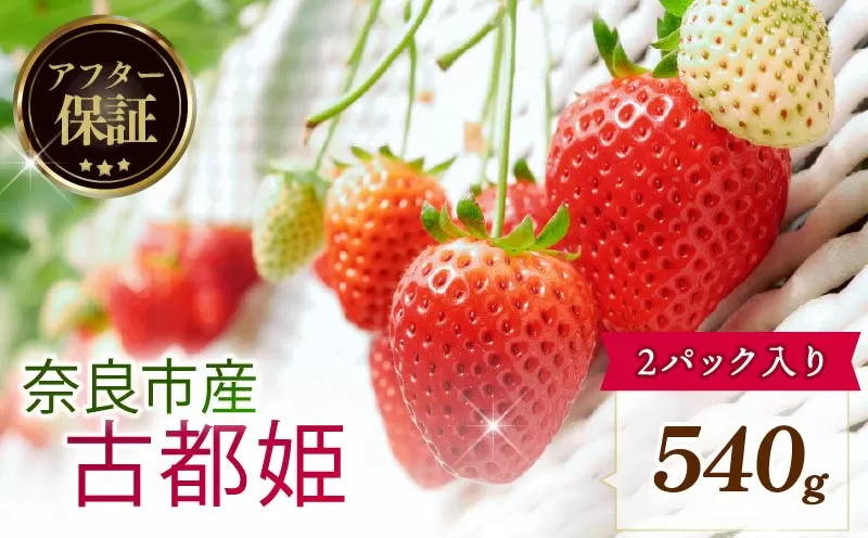 【数量限定】 2027年 3~4月発送 苺 いちご 古都姫 2パック 約540g (約270g×2P) ゆりかーご 冷蔵 小分け 果物 スイーツ デザート くだもの フルーツ ベリー ふるさと納税 いちご 大粒 採れたて 完熟 おやつ 産地直送 先行予約 数量限定 季節限定 ブランド イチゴ ギフト お祝い 中村農園 奈良県 奈良市 inn11