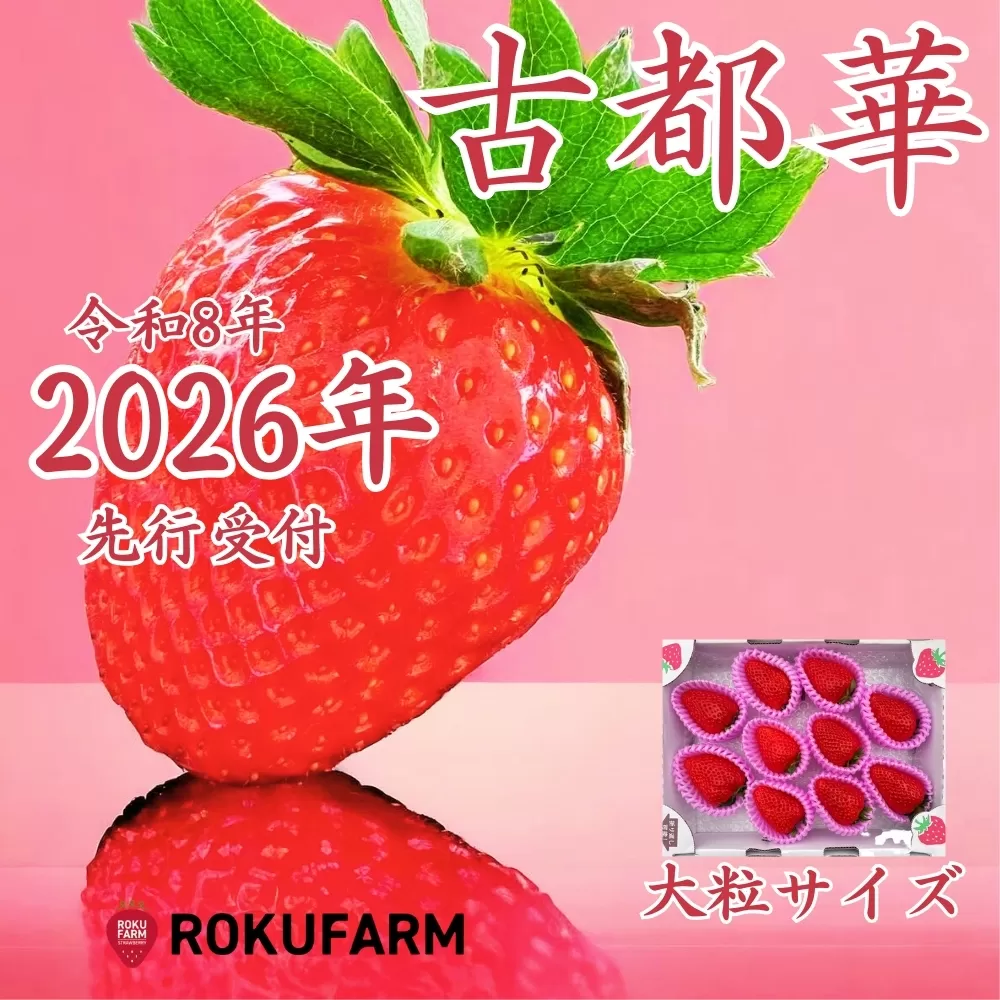 ★★2026年予約販売開始★★【2026年（令和8年）1月～発送】  「6FARMの 古都華いちご大粒サイズ」 限定出荷 〈6FARM〉 いちご 苺 奈良ブランド苺 イチゴ ブランド 古都華 大粒 奈良県 奈良市 なら 20-050