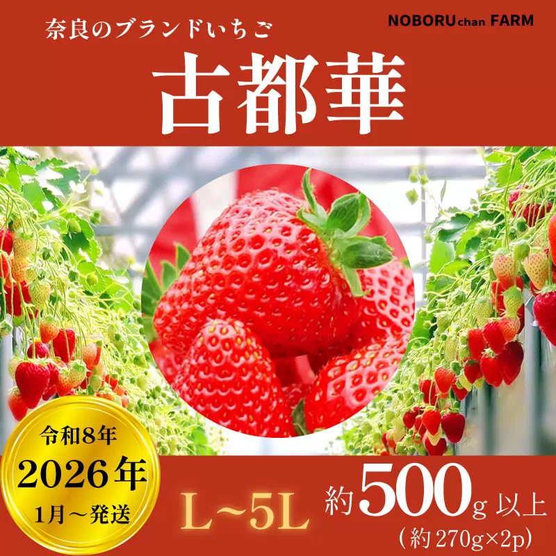 いちご 古都華 500g以上 270g×2P 先行予約 数量限定 新鮮 産地直送 厳選 2026年1月以降発送 大粒 冷蔵 小分け 旬 ブランド イチゴ 苺 フルーツ 果物 くだもの 国産 限定 ベリー 贈答用 ストロベリー デザート スイーツ ギフト プレゼント 季節 特産品 奈良市 奈良県 のぼるちゃんファーム