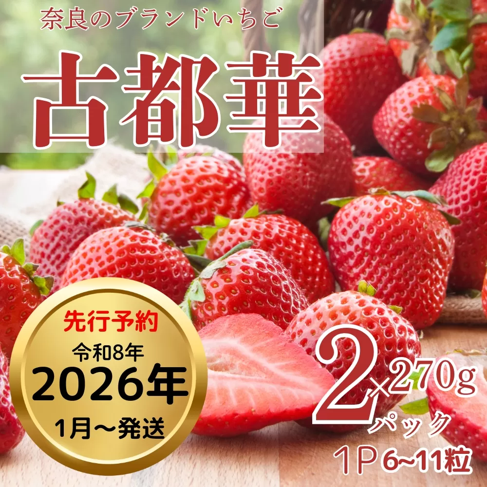 奈良ブランド苺【古都華】270g×2パック（数量限定 予約販売） 「奈良県いちごの立毛品評会」入賞 ギフト プレゼント 贈答品 お礼の品 奈良県 奈良市 なら