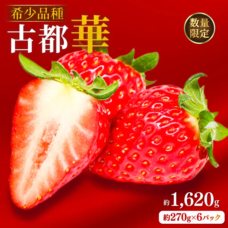 いちご ことか 約1620g 約270g×6パック 古都華 先行予約 2027年発送 数量限定 選べる容量 産地直送 旬 冷蔵 イチゴ 苺 itigo ichigo strawberry ストロベリー いちご 大粒 お取り寄せ 国産 フルーツ 果物 スイーツ 小分け ブランドいちご ふるさと納税いちご 甘い 完熟 おすすめ 贈答 プレゼント ギフト 奈良県 奈良市 のぼるちゃんファーム