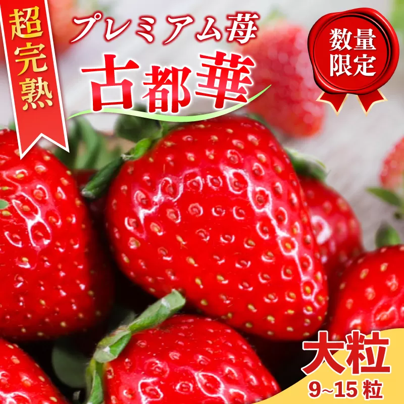いちご 古都華 大粒サイズ 1箱 数量限定 冷蔵 いちご ことか 2027年発送 苺 フルーツ 果物 イチゴ strawberry 贈答 ギフト プレゼント 産地直送 季節限定 旬 完熟 奈良県 奈良市 6FARM