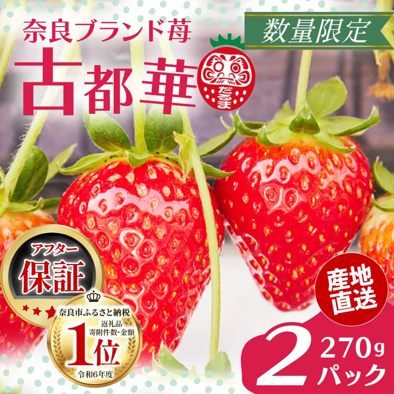いちご 古都華 270g×2パック 数量限定 苺 イチゴ ブランド 大粒 旬 産地直送 フルーツ 果物 冷蔵 フレッシュ 小分け 国産 贈答用 プレゼント ギフト 奈良産 高級 厳選 限定 新鮮 産地 直送 ブランド苺 甘い 人気 美味しい 糖度 12～13度 限定出荷 奈良市 奈良県 大ちゃん いちご 農家 だるま