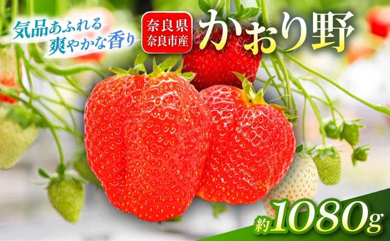 いちご かおり野 約1080g 1パック約270g 4パック 2027年発送 鶏冠果 サイズ混合 不揃い 数量限定 冷蔵 イチゴ 苺 itigo ichigo strawberry フルーツ 果物 旬 産地直送 小分け ブランドいちご 甘い おすすめ おいしい 贈答 プレゼント ギフト ふるさと納税いちご 芳醇ないちご 奈良県 奈良市 いちご農家だるま