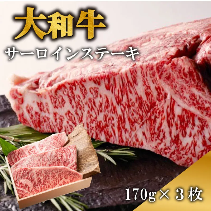 ステーキ 大和牛サーロインステーキ肉 約170g×3枚 ステーキ 大和牛 牛肉 黒毛和牛 A5ランク 肉 赤身肉 すてーき サーロインステーキ 国産 国産牛 国産品 厚切り 贈答品 奈良県 奈良市
