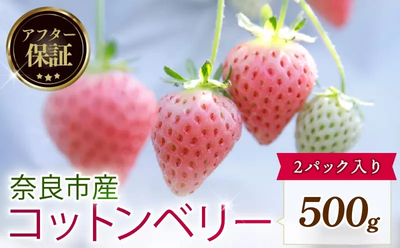 【数量限定】 2027年 3~4月発送 苺 いちご コットンベリー 2パック 約500g (約250g×2P) ゆりかーご 冷蔵 小分け 果物 スイーツ デザート くだもの フルーツ ベリー ふるさと納税 いちご 大粒 採れたて 完熟 おやつ 産地直送 先行予約 数量限定 季節限定 ブランド イチゴ 中村農園 奈良県 奈良市 inn13