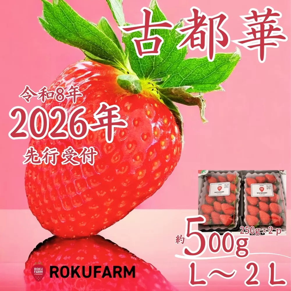 ★★2026年予約販売開始★★【2026年（令和8年）1月～発送】  「6FARMの 古都華いちごL~2L」 限定出荷 〈6FARM〉 いちご 苺 奈良ブランド苺 イチゴ ブランド 古都華 大粒 奈良県 奈良市 なら 10-205