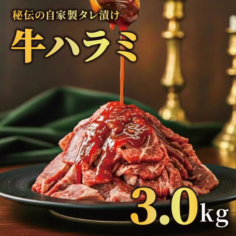 牛ハラミ タレ漬け 3kg 特選 タレ漬け牛ハラミ 個包装 冷凍 秘伝のタレ 味付き牛 小分け ハラミ はらみ 牛肉 お肉 肉 にく 漬け 特製 たれ 牛ハラミ 味付き 焼くだけ 焼き肉 やきにく 焼肉セット 焼肉用 野菜炒め 焼肉 たれ 人気 うし ぎゅうにく おにく はらみ 腹身 ふるさと納税肉 ふるさと納税牛ハラミ 選べる容量 バーベキュー BBQ 奈良県 奈良市 なら 焼肉工房もく