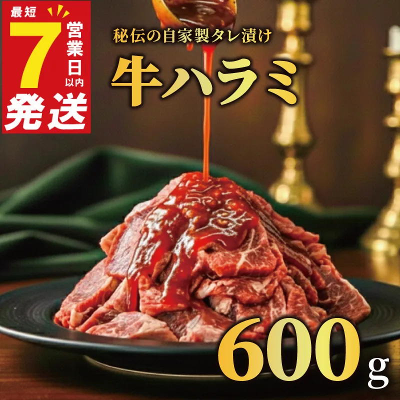 牛ハラミ タレ漬け 600g 特選 タレ漬け牛ハラミ 個包装 冷凍 秘伝のタレ 味付き牛 小分け ハラミ はらみ 牛肉 お肉 肉 にく 漬け 特製 たれ 牛ハラミ 味付き 焼くだけ 焼き肉 やきにく 焼肉セット 焼肉用 野菜炒め 焼肉 たれ 人気 うし ぎゅうにく おにく はらみ 腹身 ふるさと納税肉 ふるさと納税牛ハラミ 選べる容量 バーベキュー BBQ 奈良県 奈良市 なら 焼肉工房もく