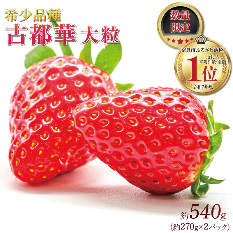 いちご ことか 約270g×2パック 先行予約 2027年発送 古都華 大粒 数量限定 産地直送 春 旬 国産 冷蔵 イチゴ 苺 itigo ichigo strawberry ストロベリー フルーツ 果物 くだもの 小分け ブランドいちご ふるさと納税いちご ふるさと納税イチゴ 奈良いちご 甘い 人気 おすすめ 贈答 プレゼント ギフト お歳暮 奈良県 奈良市 奈良 いちご農家だるま