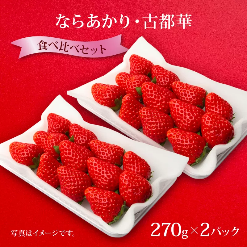 いちご ならあかり 古都華 セット 2026年 発送（270g×2パック）予約受付中 数量限定 早期終了 予定あり  家庭用 イチゴ 先行予約 苺 奈良ブランド苺 ブランド 古都華 大粒 苺 旬 産地 直送 フレッシュ 新鮮  フルーツ 果物 くだもの  萩原いちご農園 奈良県 奈良市 hgi05