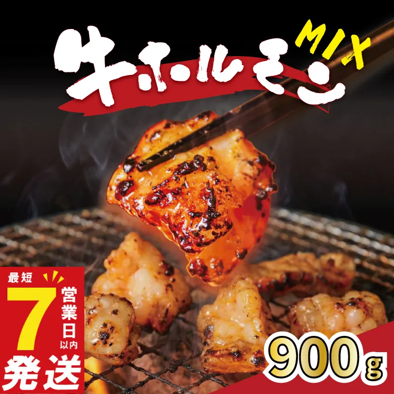 牛ホルモンMIX 900g 牛肉 味付け おいしい 小分け 個包装 冷凍 焼肉工房もく 5-025