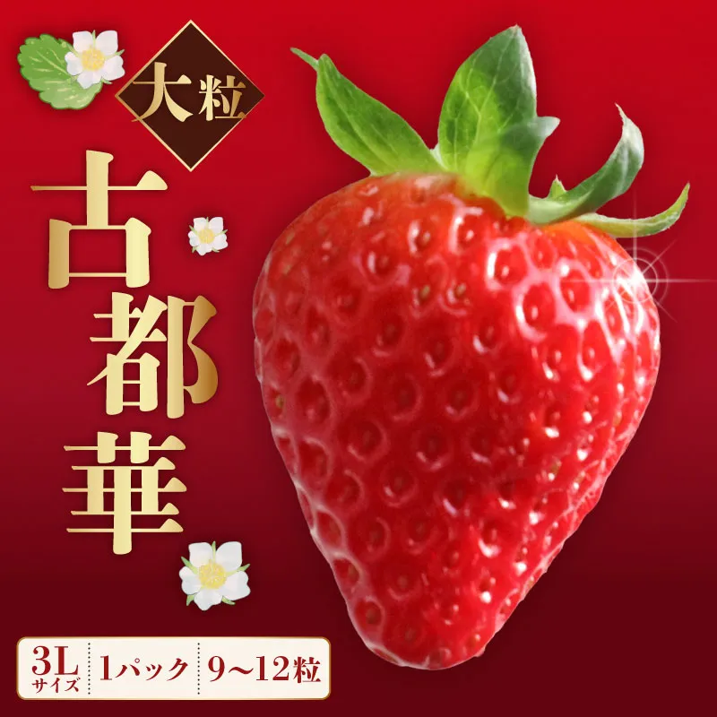 いちご ことか 大粒 9玉以上 1パック 3Lサイズ 2027年発送 古都華 化粧箱 数量限定 苺 イチゴ 季節限定 旬 フルーツ 果物 スイーツ デザート ストロベリー 甘い ジューシー 数量限定 産地直送 冷蔵 ブランド苺 奈良いちご ならいちご 果肉 プレゼント ギフト 贈答 贈答品 家庭用 お祝い フレッシュ 新鮮 旬 itigo strawberry 奈良県 奈良市 なら めいとく農園 mtn006_R9