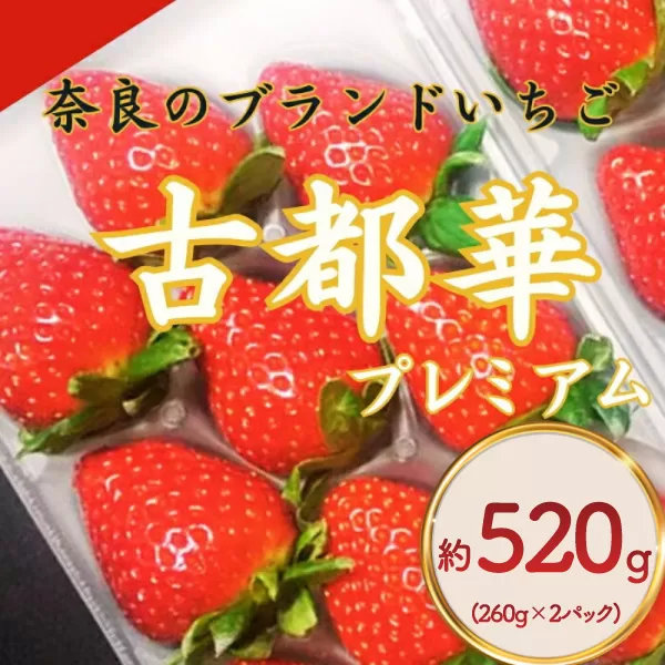 【 数量限定】 奈良のブランドいちご 古都華 約520g 260g×2パック 1パック6~11粒 イチゴ 月 旬 産地 農場 直送 フレッシュ スイーツ スムージー ケーキ フルーツ 果物 国産 ベリー 贈答用 プレゼント 人気 ふるさと納税 ふるさと おすすめ 限定 奈良県 奈良市 なら ファーム和だや