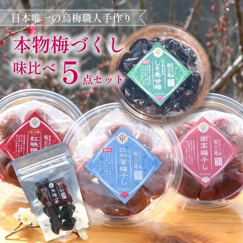 梅干し 梅づくし 5点セット 無添加 食べ比べ 梅 梅干し 南高梅 白加賀梅 紅映梅 うめ 梅干 漬物 漬け物 ご飯 白米 白飯 お弁当 おかず ご飯のお供 ごはんのお供 おつまみ おやつ お茶 梅茶 うばい 薬膳 お茶漬け 奈良県 奈良市 H-49