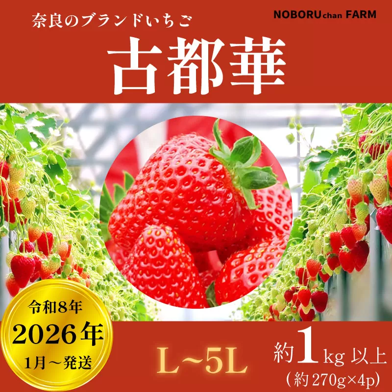 【 先行予約 / 数量限定 】 いちご 1kg 以上 ( 270g × 4P ) 新鮮 産地直送 厳選 【2026年1月以降発送】 旬 ブランド イチゴ 苺 古都華 フルーツ 果物 くだもの 国産 限定 大粒 産地 農場 直送 フレッシュ ベリー 贈答用 プレゼント 人気 おすすめ 苺 デザート スイーツ イードム株式会社 のぼるちゃんファーム 奈良県 奈良市 なら