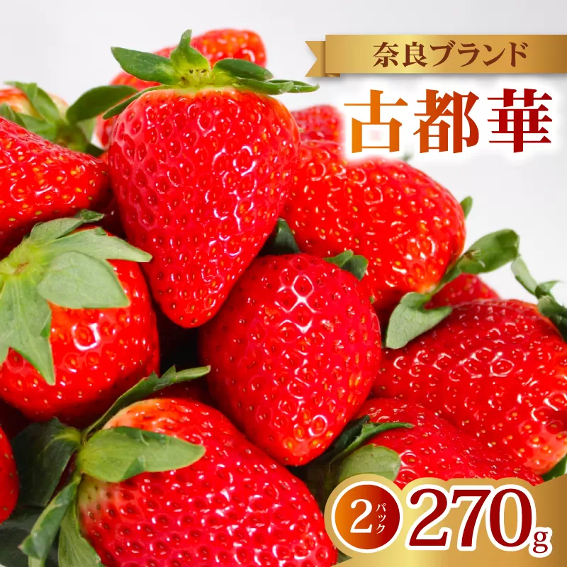 いちご 古都華 2026年 発送（270g×2パック） 家庭用 予約受付中 数量限定 いちご イチゴ 先行予約 いちご 苺 奈良ブランド苺 イチゴ ブランド 古都華 大粒 苺 旬 産地 直送 フレッシュ 新鮮  フルーツ 果物 くだもの  萩原いちご農園 奈良県 奈良市 hgi03