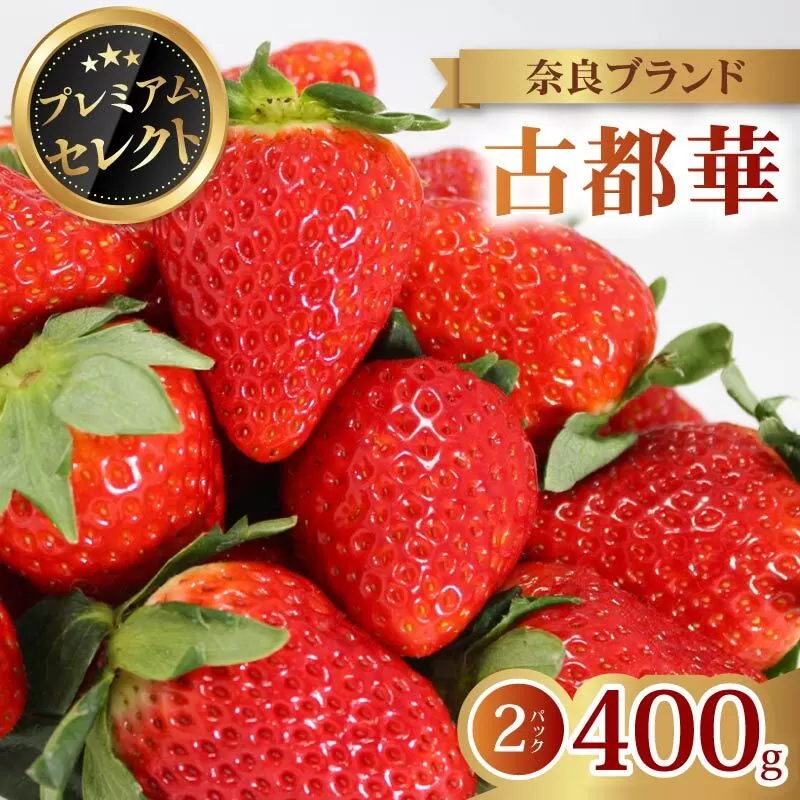 いちご 古都華 プレミアム セレクト 2026年 発送（400g×2パック） 贈与用 予約受付中 数量限定 早期終了 予定あり いちご イチゴ 先行予約 いちご 苺 奈良ブランド苺 イチゴ ブランド 古都華 大粒 苺 旬 産地 直送 フレッシュ 新鮮  フルーツ 果物 くだもの  萩原いちご農園 奈良県 奈良市 hgi04