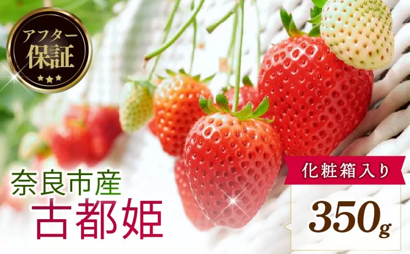 【数量限定】 2026年発送 苺 いちご 古都姫 350g 化粧箱 冷蔵 小分け 果物 スイーツ デザート くだもの フルーツ ベリー ふるさと納税 いちご 大粒 採れたて 完熟 おやつ 産地直送 先行予約 数量限定 季節限定 ブランド イチゴ ギフト お祝い 中村農園 奈良県 奈良市 inn02