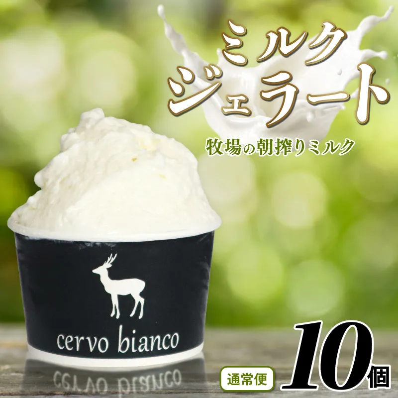 ジェラート 10個 詰め合わせ セットじぇらーと 美味しいジェラート 甘いジェラート ふるさと納税ジェラート ミルクジェラート アイス 濃厚ミルク ミルクアイス ミルク 濃厚 牧場ミルク あいす ソフトクリーム アイスクリーム あいすくりーむ スイーツ お菓子 洋菓子 おかし デザート 贈り物 ギフト 贅沢 口溶け なめらか cervo bianco チェルボビアンコ 奈良県 奈良市 なら