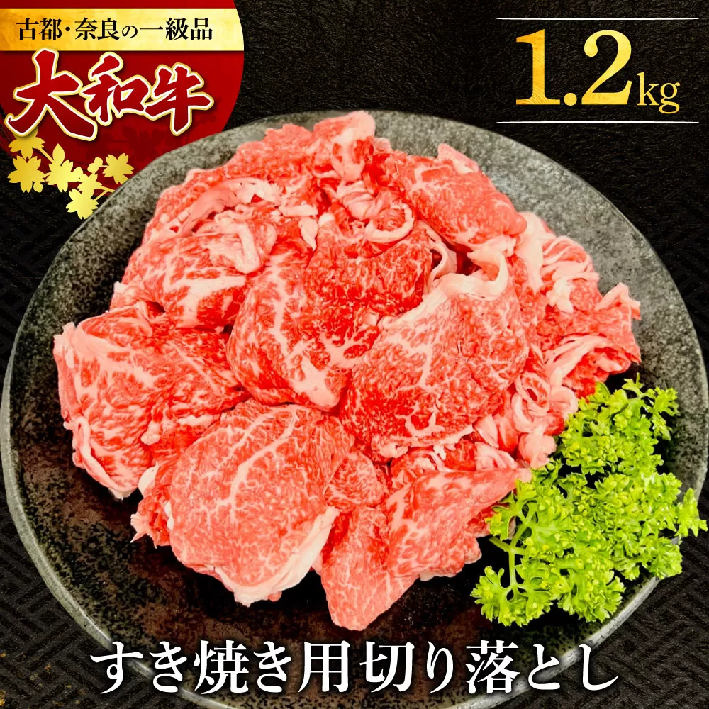 H-113 大和牛 すき焼き・しゃぶしゃぶ用切り落とし 1.2kg　肉の河内屋