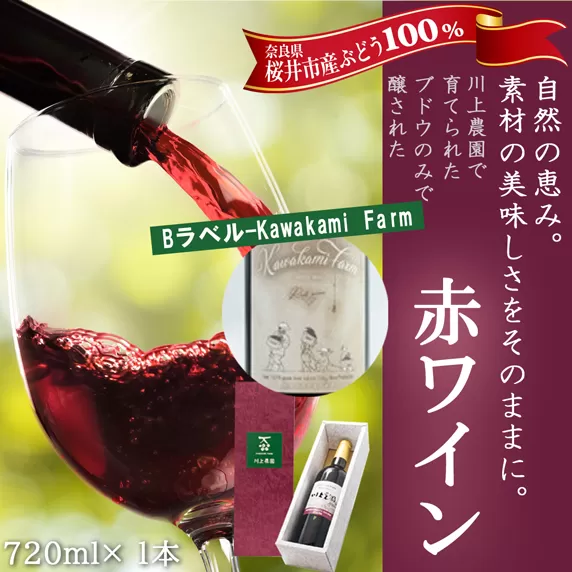 M-BB21.【Bラベル-Kawakami Farm】赤ワイン 720ml 1本（商品No.1）