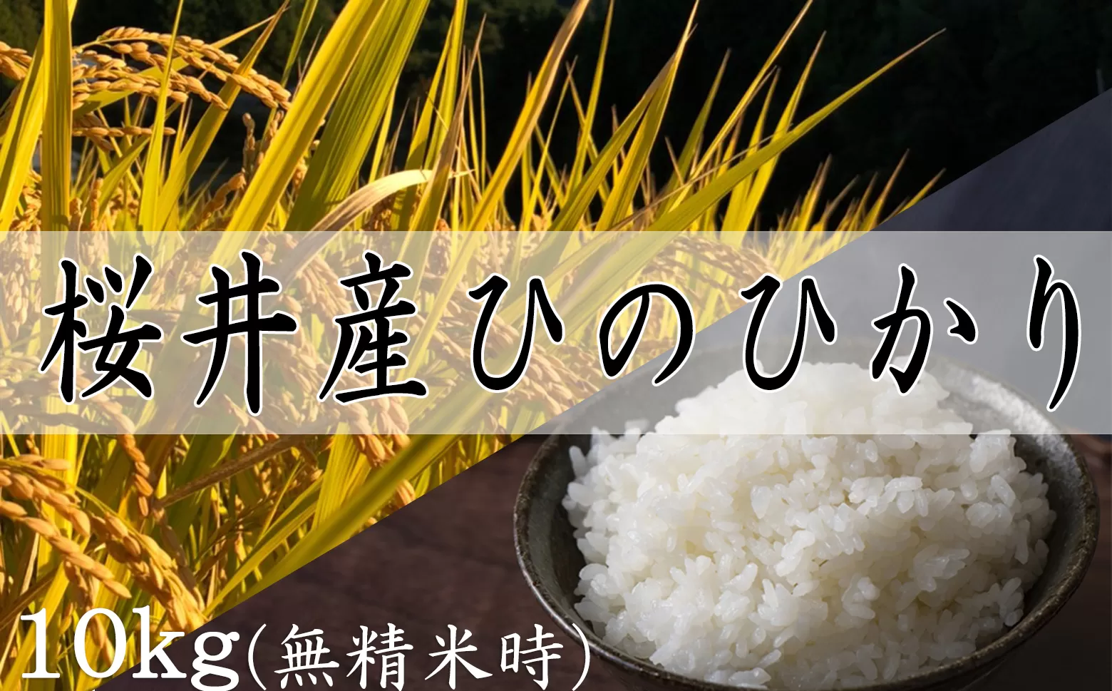 M-B19.【特別栽培米】桜井市高家産ヒノヒカリ　10kg（玄米）