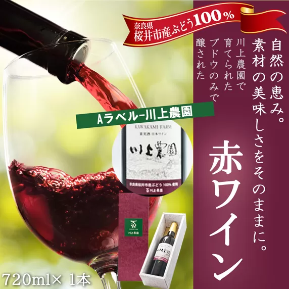 M-BB21.【Aラベル-川上農園】赤ワイン 720ml 1本（商品No.1）