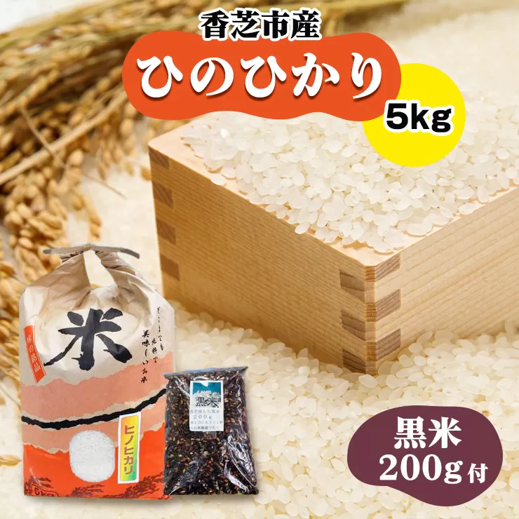 ヒノヒカリ5kgと黒米200gセット(奈良県香芝市産) ｜ヒノヒカリ 5kg 黒米200g 奈良県香芝市産 [3253]