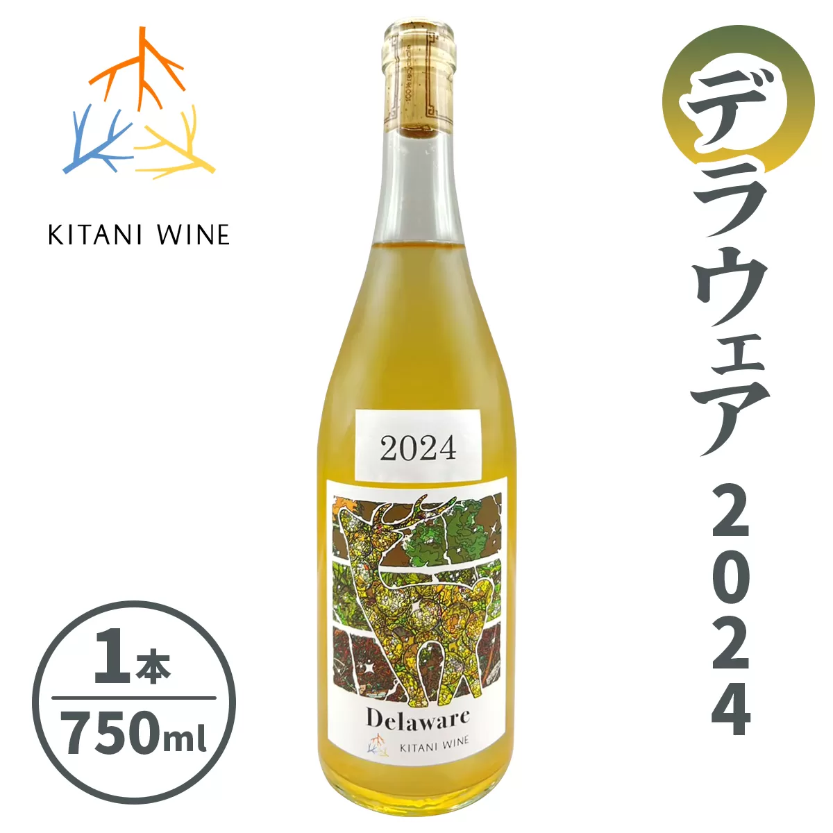 木谷ワイン デラウェア2024｜日本ワイン 国産ワイン 白ワイン フルーティー フレッシュ ぶどうワイン 奈良 ワイン [3258]