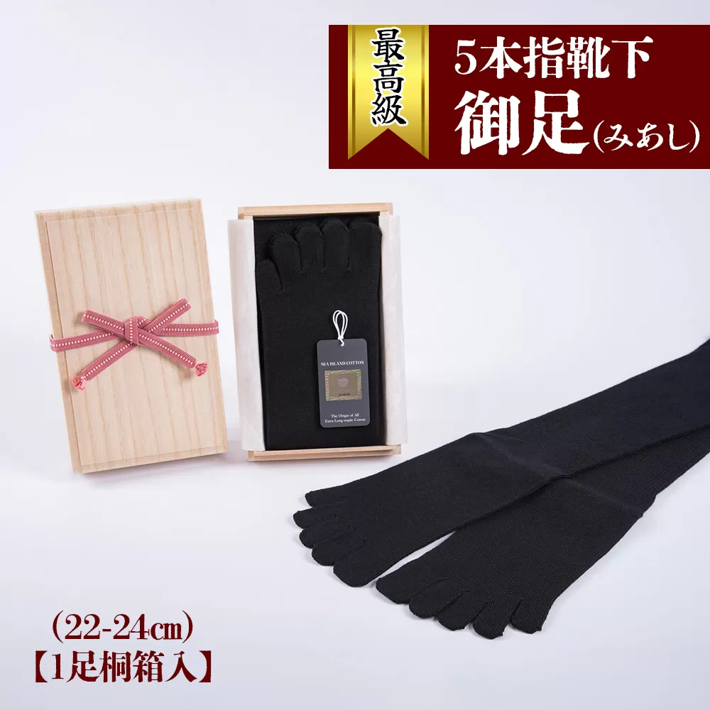 最高級5本指靴下「御足 (みあし)」(22-24cm)【1足桐箱入】[2493]