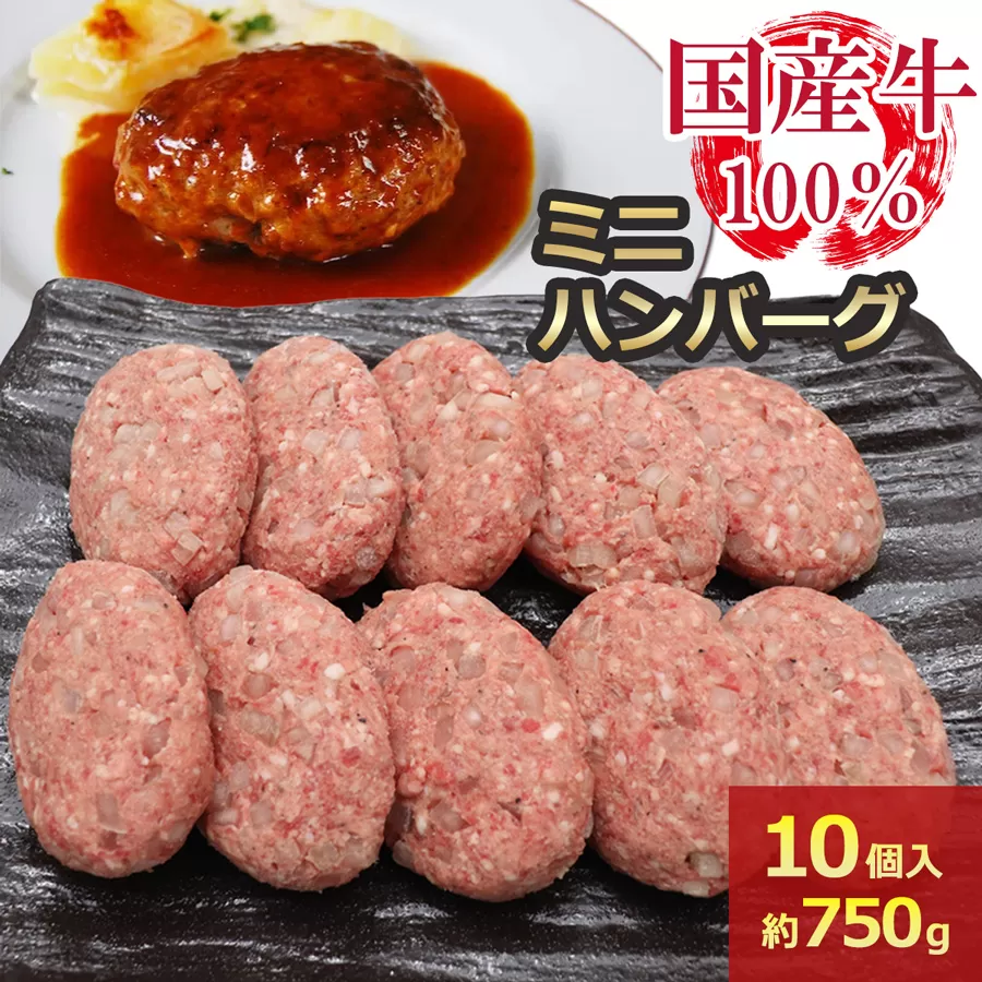 [牛壱] 国産牛100% ミニハンバーグ 75g×10個 [2334]