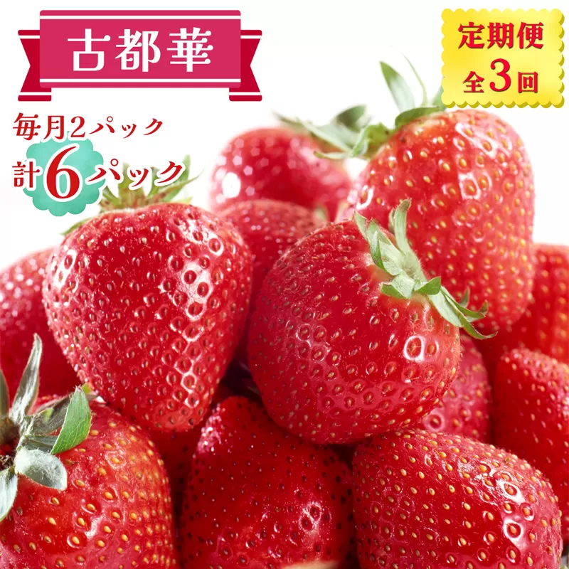 [定期便／全3回] 古都華 2パックセット 毎月お届け1月から3月発送｜ことか いちご 苺 イチゴ 果物 フルーツ 産地直送 [3234]