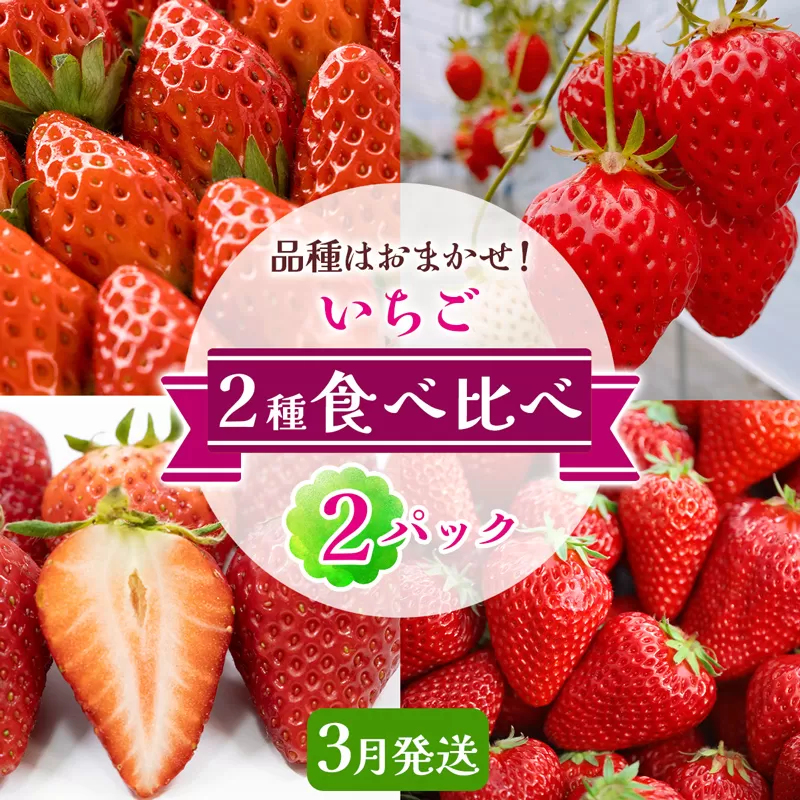 いちご 2種 (2パック) 食べ比べセット [3月発送] 品種はおまかせ！｜苺 イチゴ 果物 フルーツ 産地直送 [3228]