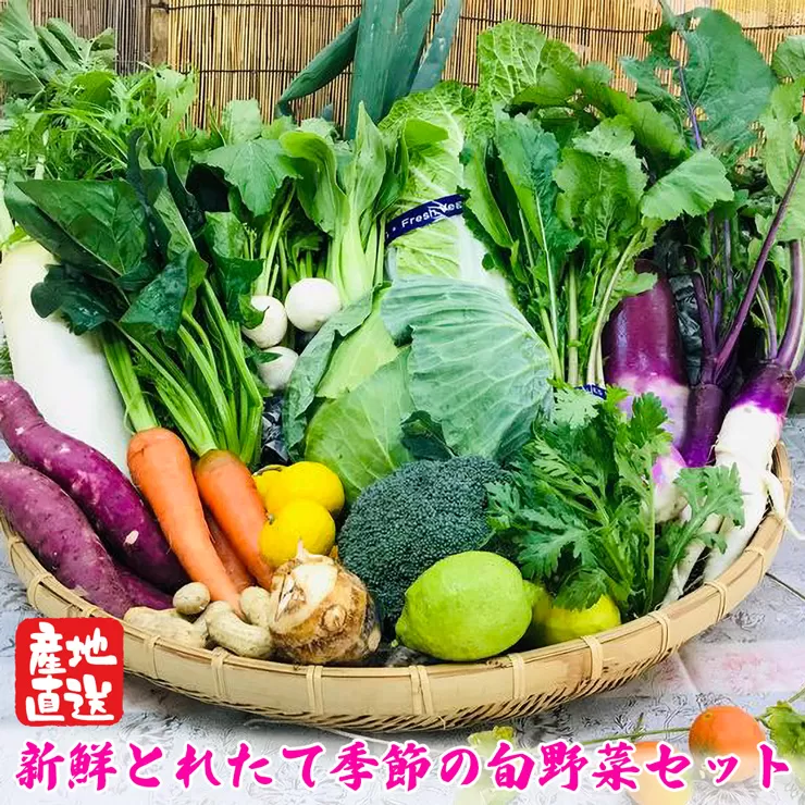 【野菜セット】産地直送！新鮮とれたて旬の野菜 [1140]