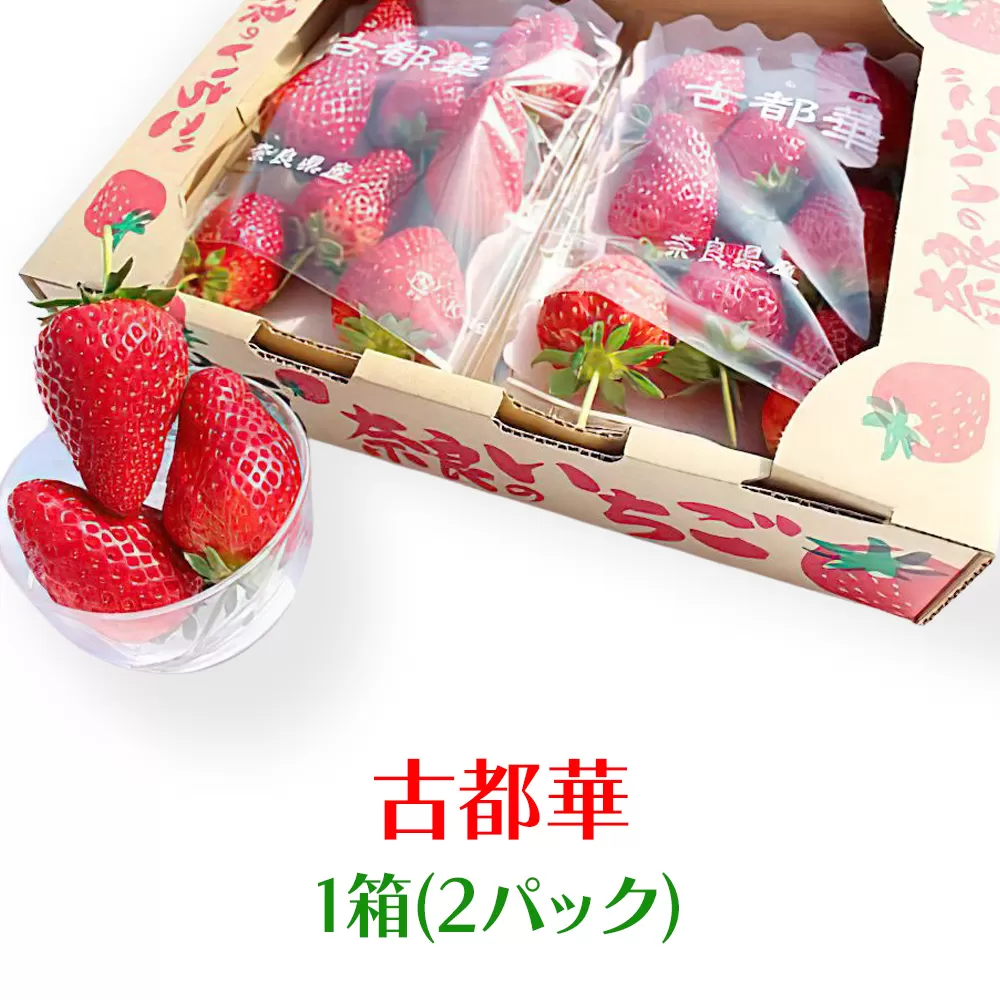 奈良県産ブランドいちご『古都華』約560g×1箱(2パック)｜いちご イチゴ スイーツ フルーツ 果物 奈良県 香芝市 [2822]