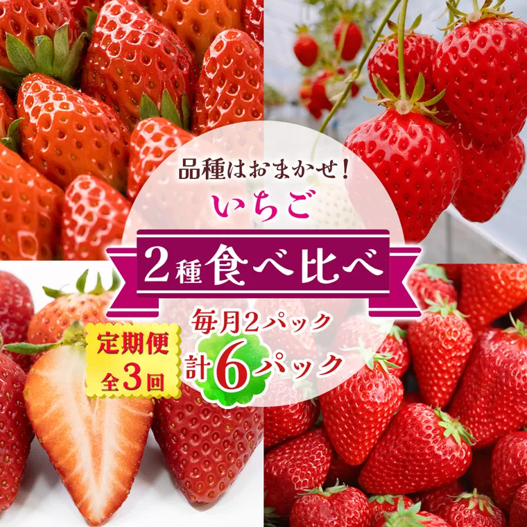 [定期便／全3回] いちご 2種 (2パック) 食べ比べセット 毎月お届け 1月から3月発送｜苺 イチゴ 果物 フルーツ 産地直送 [3233]