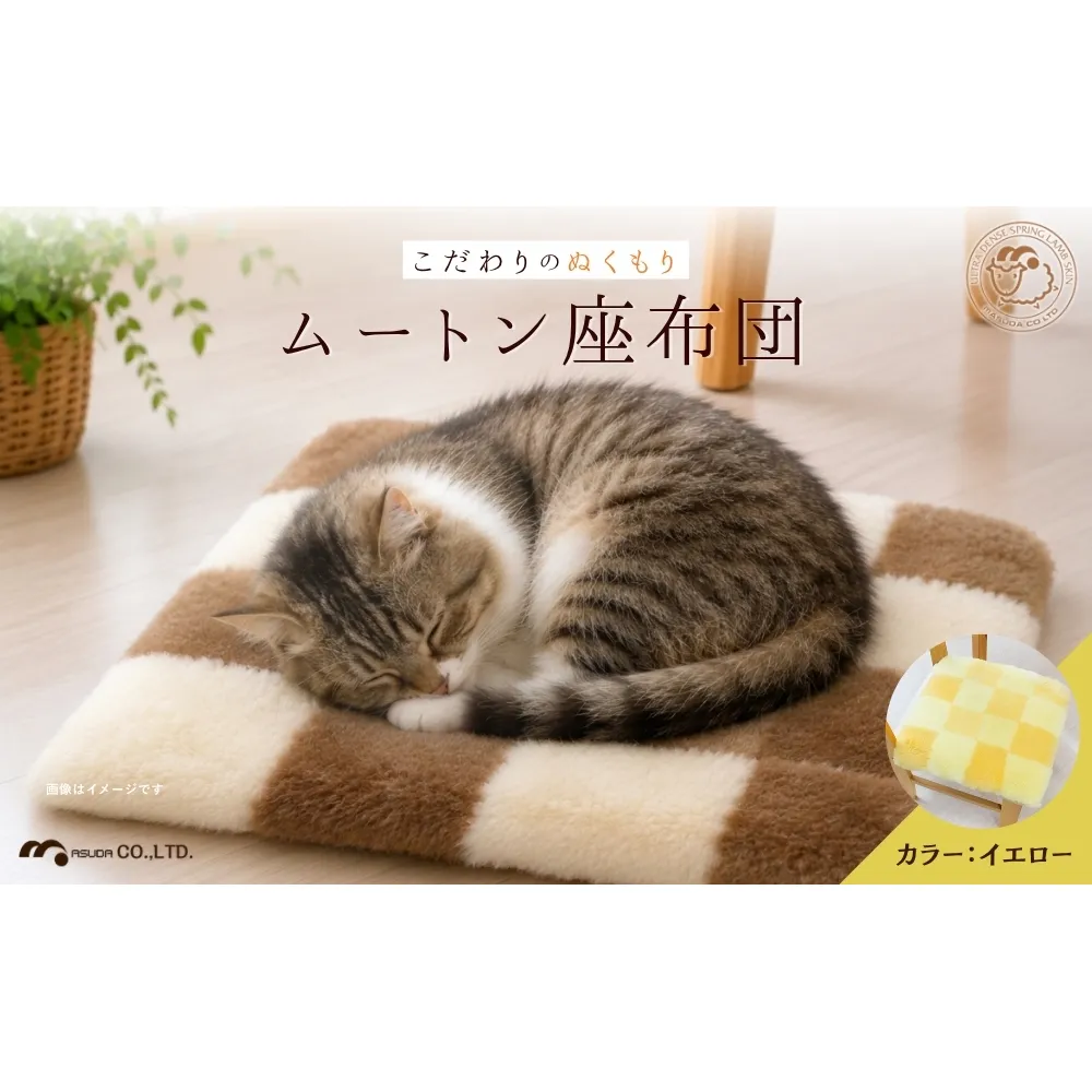 奈良 (株)マスダ製 ムートン座布団 チェック柄 イエロー 40cm×40cm／ ムートン 羊毛皮 羊毛 スプリングラム 100％使用 座布団 ラグ インテリア オールシーズン 通年 贈り物 プレゼント 誕生日 記念日 株式会社マスダ 奈良県 宇陀市 ふるさと納税