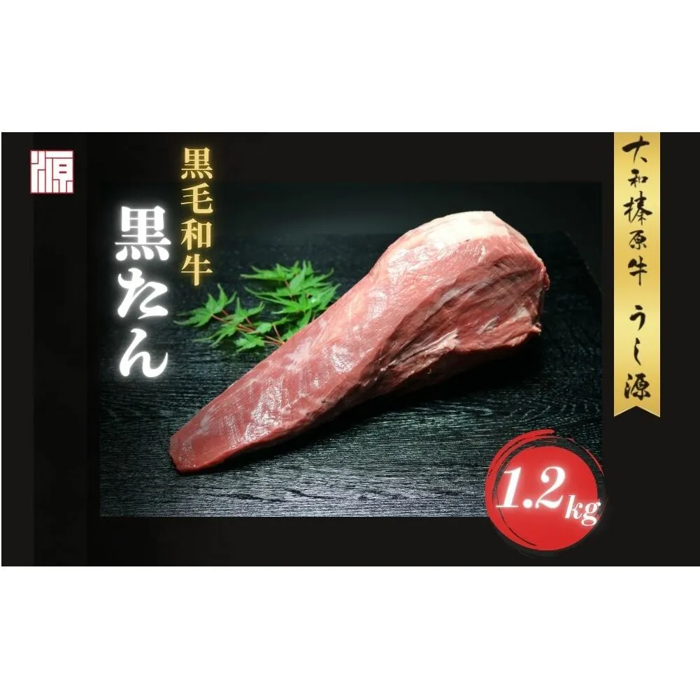 (冷凍) 黒毛和牛 タン 1本 1.2kg／ふるさと納税 牛たん ブロック 牛タン 国産 やわらか グルメ お取り寄せ 牛肉 ギフト A5 キャンプ 父の日 母の日 お中元 暑中見舞い お土産 焼肉 正月 キャンプ 奈良県 宇陀市 うし源本店