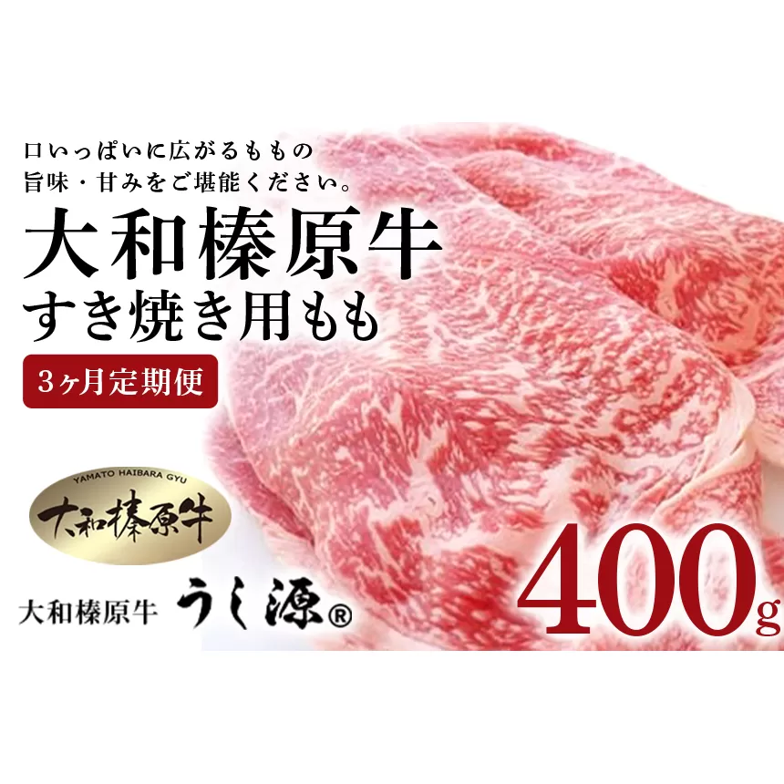 定期便 ３ヶ月 A5 大和 榛原牛 もも肉 400g すき焼き 冷凍 月１回 ／ うし源 本店 ふるさと納税 お取り寄せ 黒毛和牛 父の日 奈良県 宇陀市 お中元 贈答用 贈り物 暑中見舞い お土産 お中元 贈答用 贈り物 暑中見舞い お土産 お歳暮 内祝いまとめ買い 美味しい部位 キャンプ 送料無料