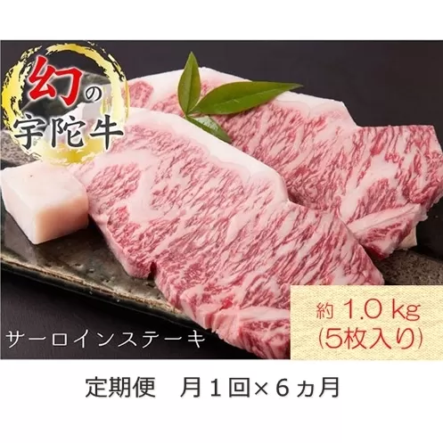 毎月定期便全6回 名産 認定肉 宇陀牛 国産 黒毛和牛 サーロイン ステーキ 5枚 計1kg / 山繁 ふるさと納税 牛肉 牛丼 しゃぶしゃぶ 人気 寄付 ランキング おすすめ グルメ 肉 返礼品 送料無料