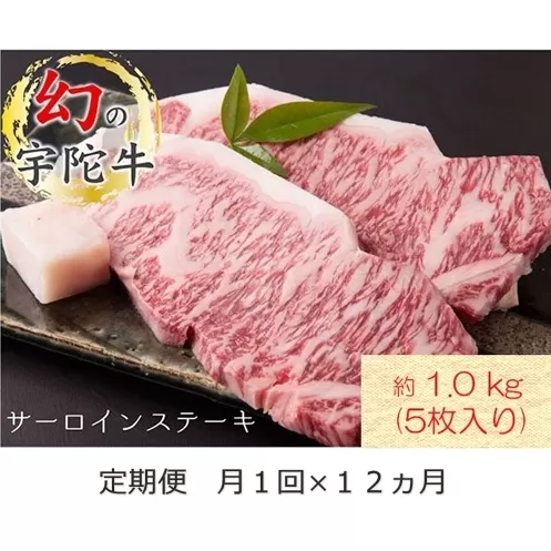 毎月定期便全12回 名産 認定肉 宇陀牛 国産 黒毛和牛 サーロイン ステーキ 5枚 計1kg / 山繁 ふるさと納税 牛肉 牛丼 しゃぶしゃぶ 人気 寄付 ランキング おすすめ グルメ 肉 返礼品 送料無料