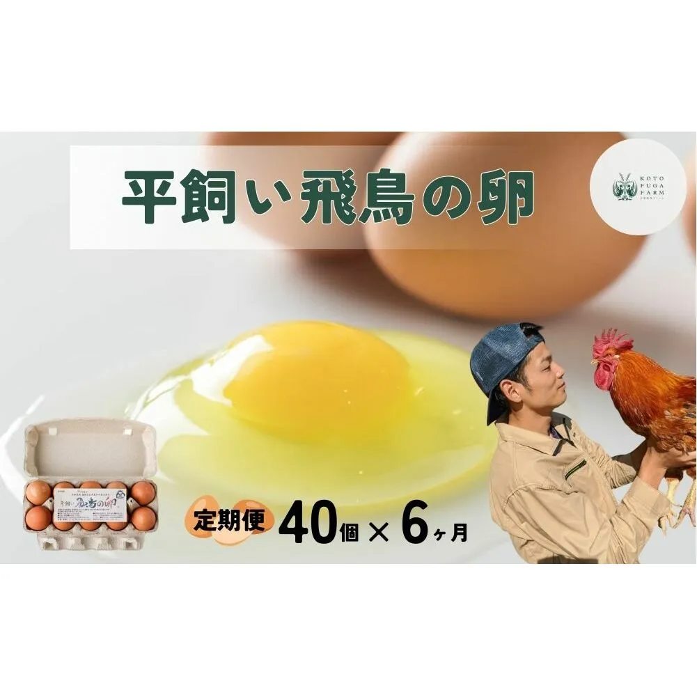 【毎月定期便／6ヶ月】平飼い飛鳥の卵 40個／ 卵 たまご 玉子 生卵 鶏卵 生たまご たまごかけごはん 卵焼き 目玉焼き 冷蔵 チルド 古都風雅ファーム 奈良県 宇陀市 ふるさと納税