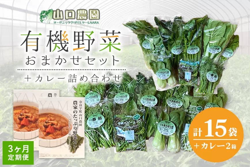 定期便 ３ヶ月 山口農園 有機野菜 おまかせセット＋カレー２箱 詰合せ 冷蔵 月１回 ／山口農園 有機野菜 伝統野菜 オーガニック ベジタリアン 定期便 カレー 無農薬 野菜セット 送料無料 無農薬 農家直送 ふるさと納税 詰め合わせ 奈良県 宇陀市 ふるさと納税